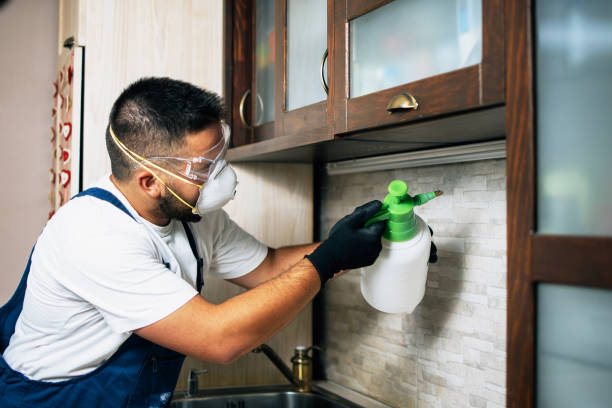 Best Pest Control Near Me  in Waterflow, NM