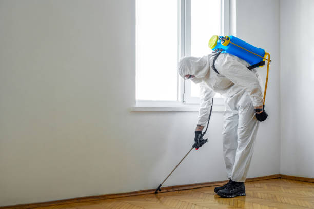 Best Termite Control Services  in Waterflow, NM