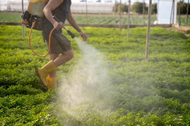 Best Pest Prevention Services  in Waterflow, NM