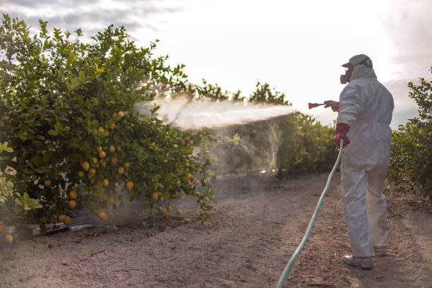 Professional Pest Control in Waterflow, NM