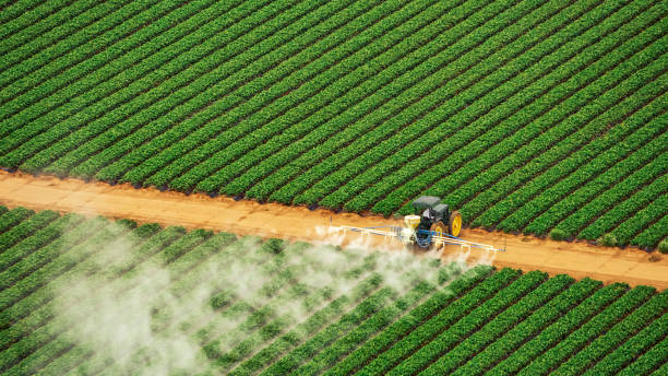 Best Pest Control for Restaurants  in Waterflow, NM