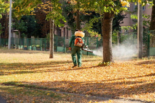 Best Exterminator Services  in Waterflow, NM