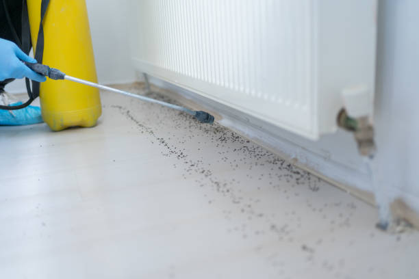 Best Mosquito Control Services  in Waterflow, NM