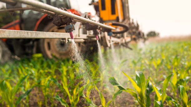 Best Mosquito Control Services  in Waterflow, NM