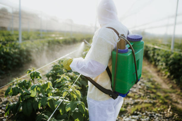 Best Emergency Pest Control  in Waterflow, NM